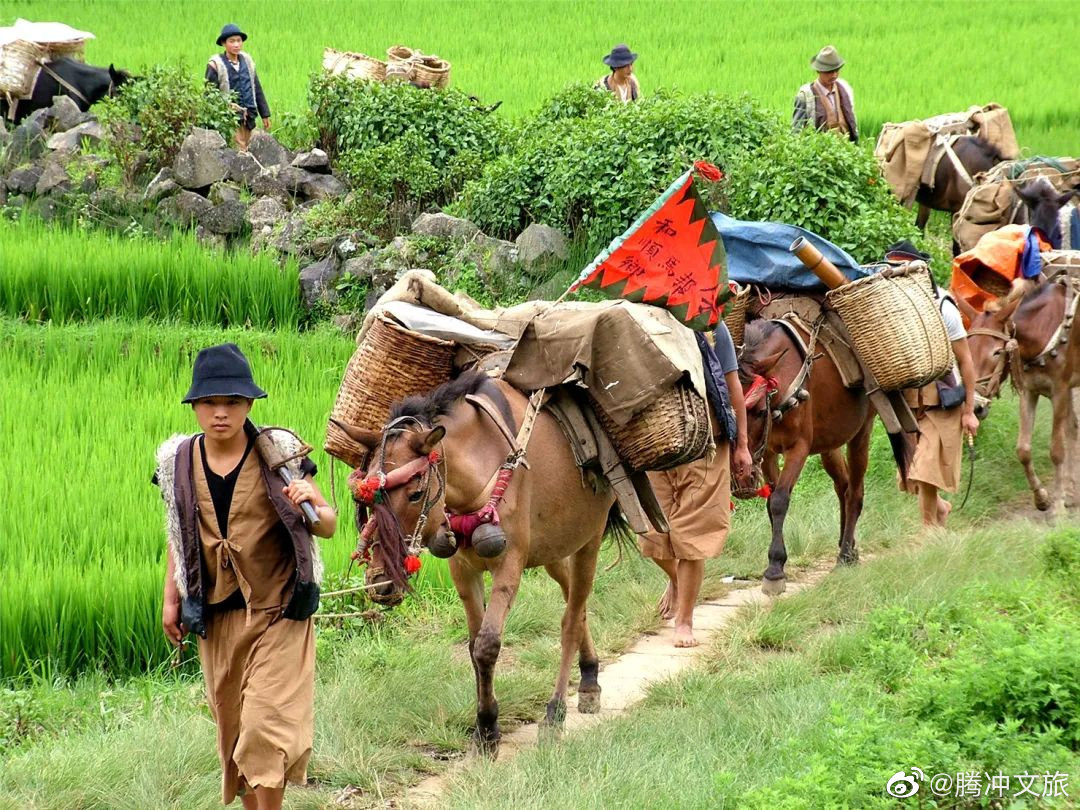 腾冲文旅微博