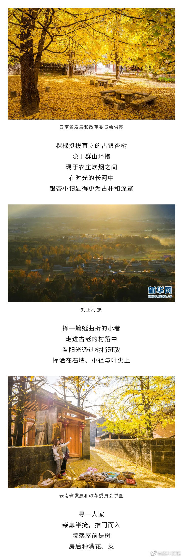 腾冲文旅微博