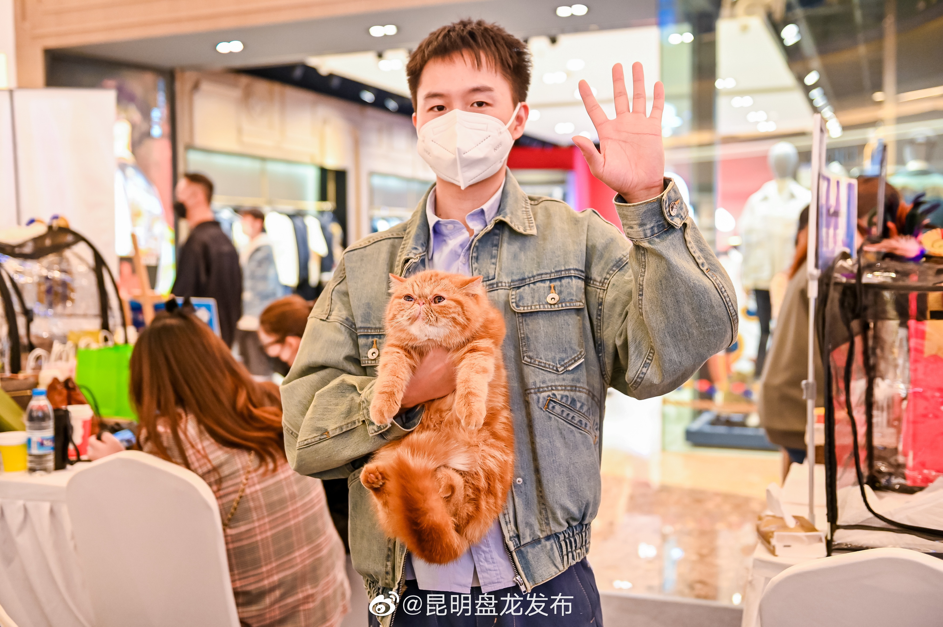 昆明盘龙发布