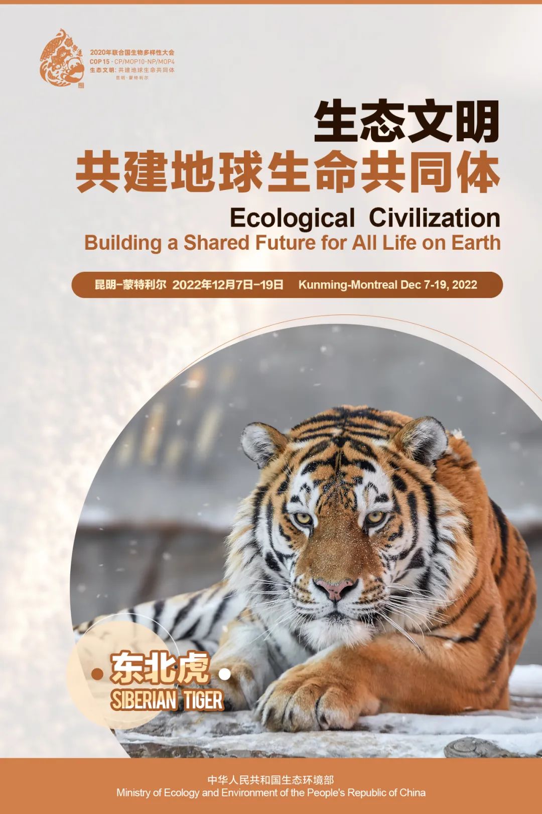 玉溪发布