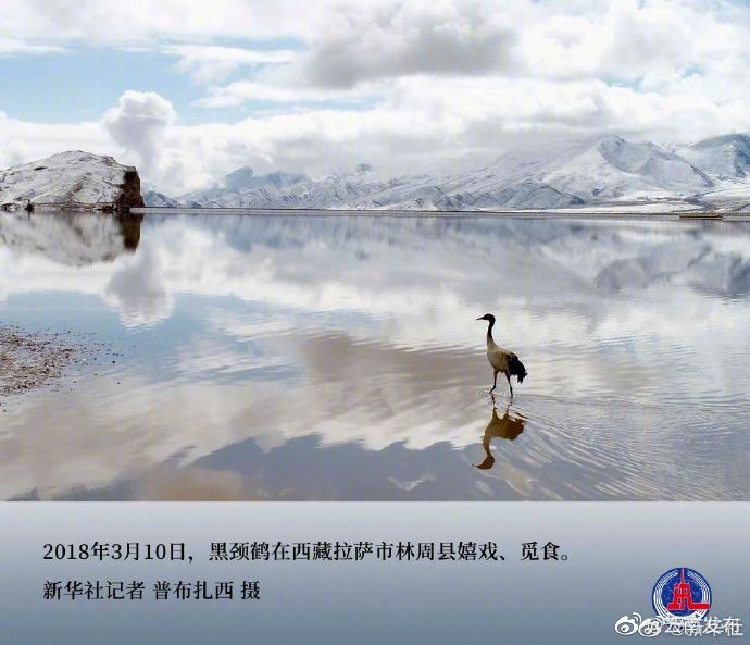 “云南发布”微博