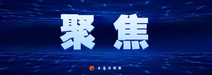 云南法制报