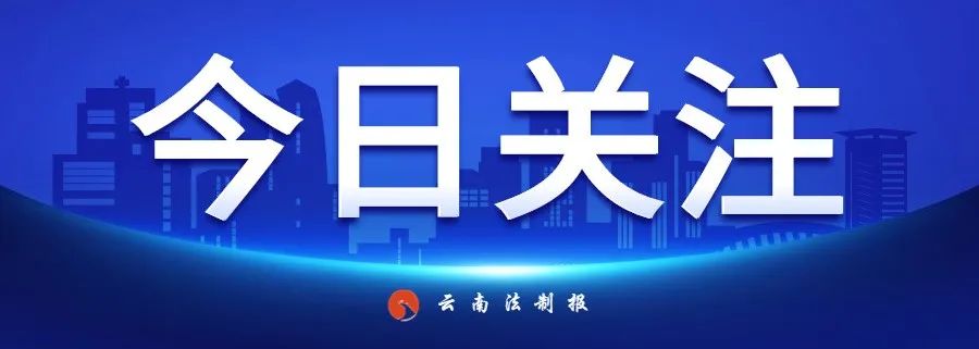 云南法制报