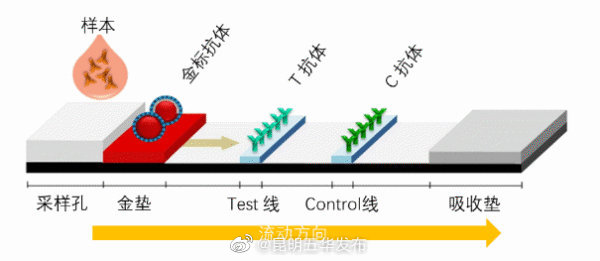 明明发烧了为什么抗原还是阴性？