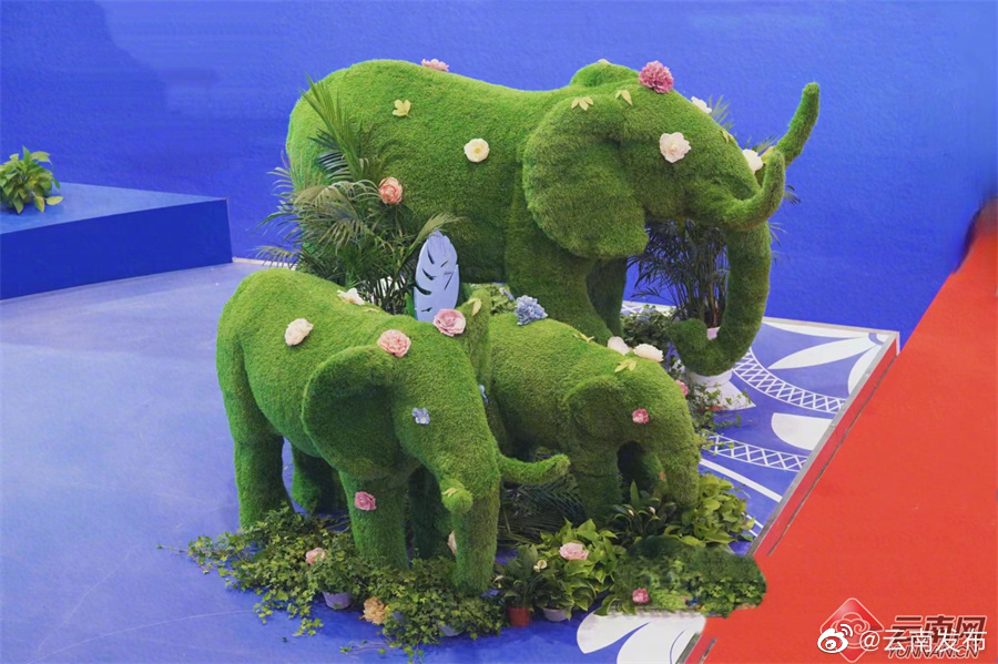 “云南发布”微博