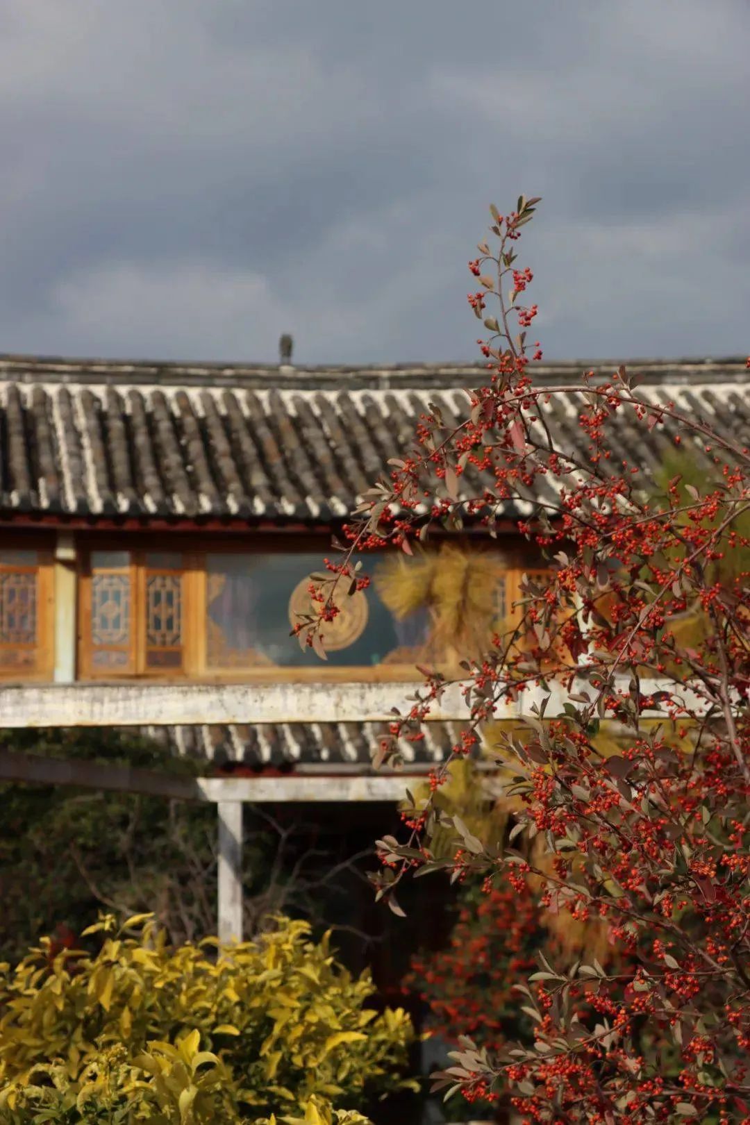 丽江日报