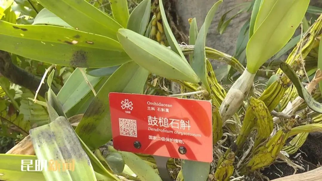 昆明文旅