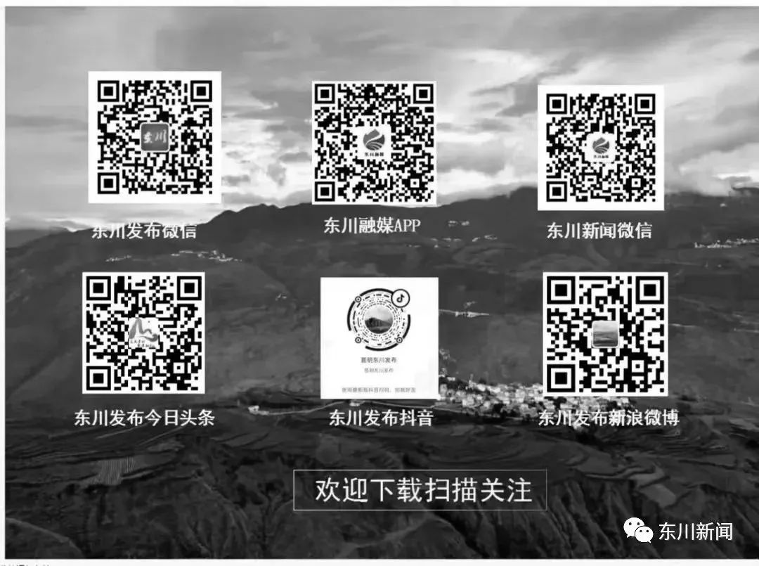 东川新闻