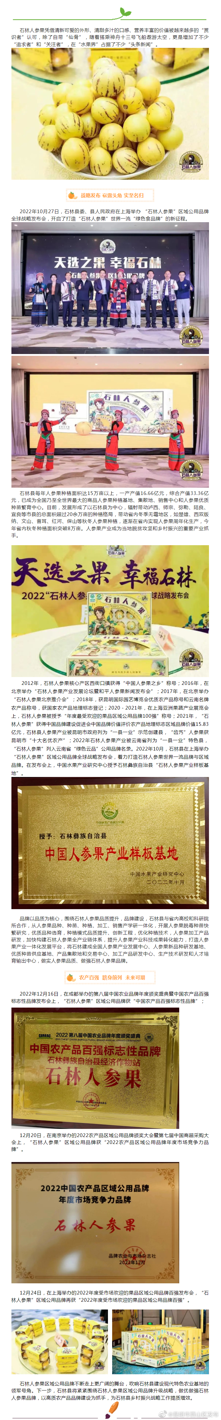 赞！石林人参果又获多项美誉