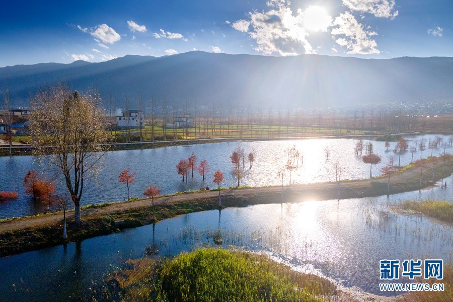 云南省文化和旅游厅