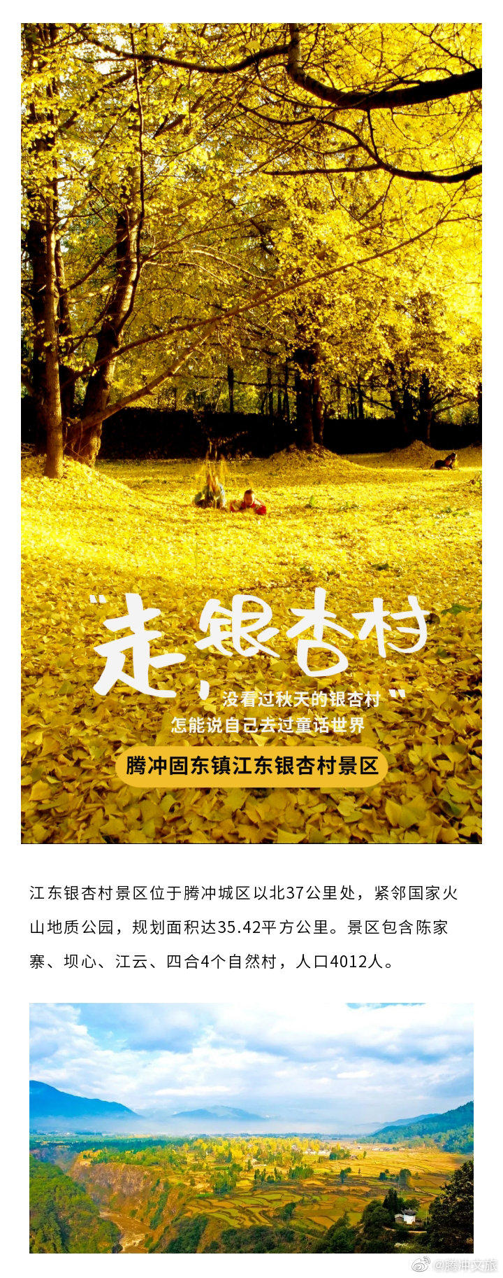 腾冲文旅微博