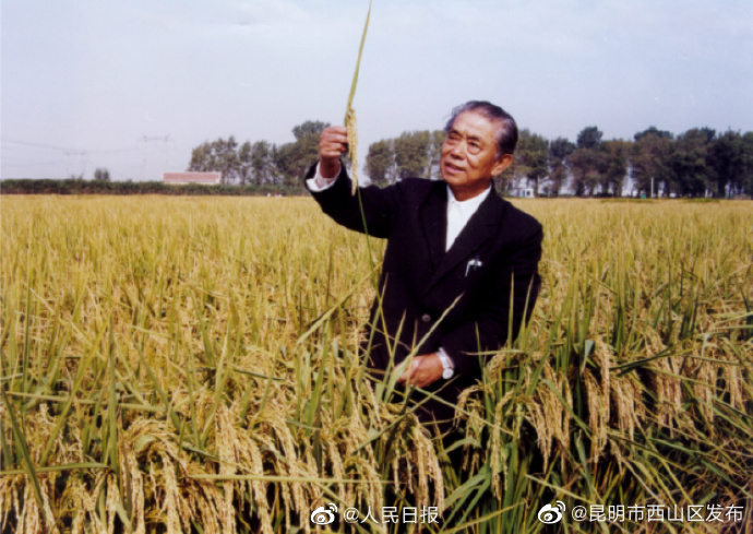 送别著名水稻专家杨振玉先生