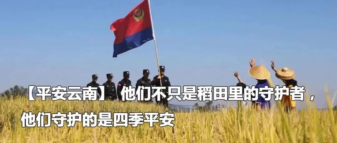 云南政法