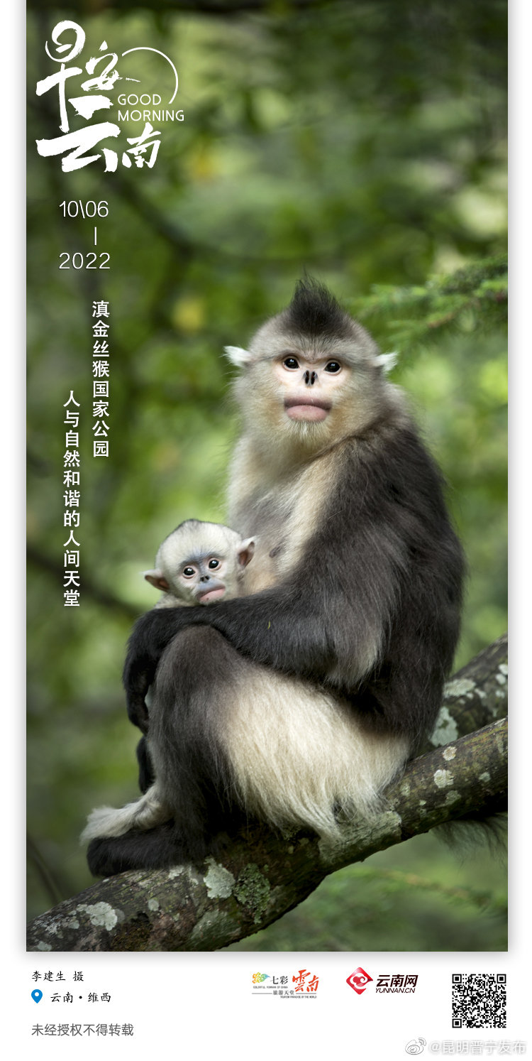 滇金丝猴国家公园：人与自然和谐的人间天堂