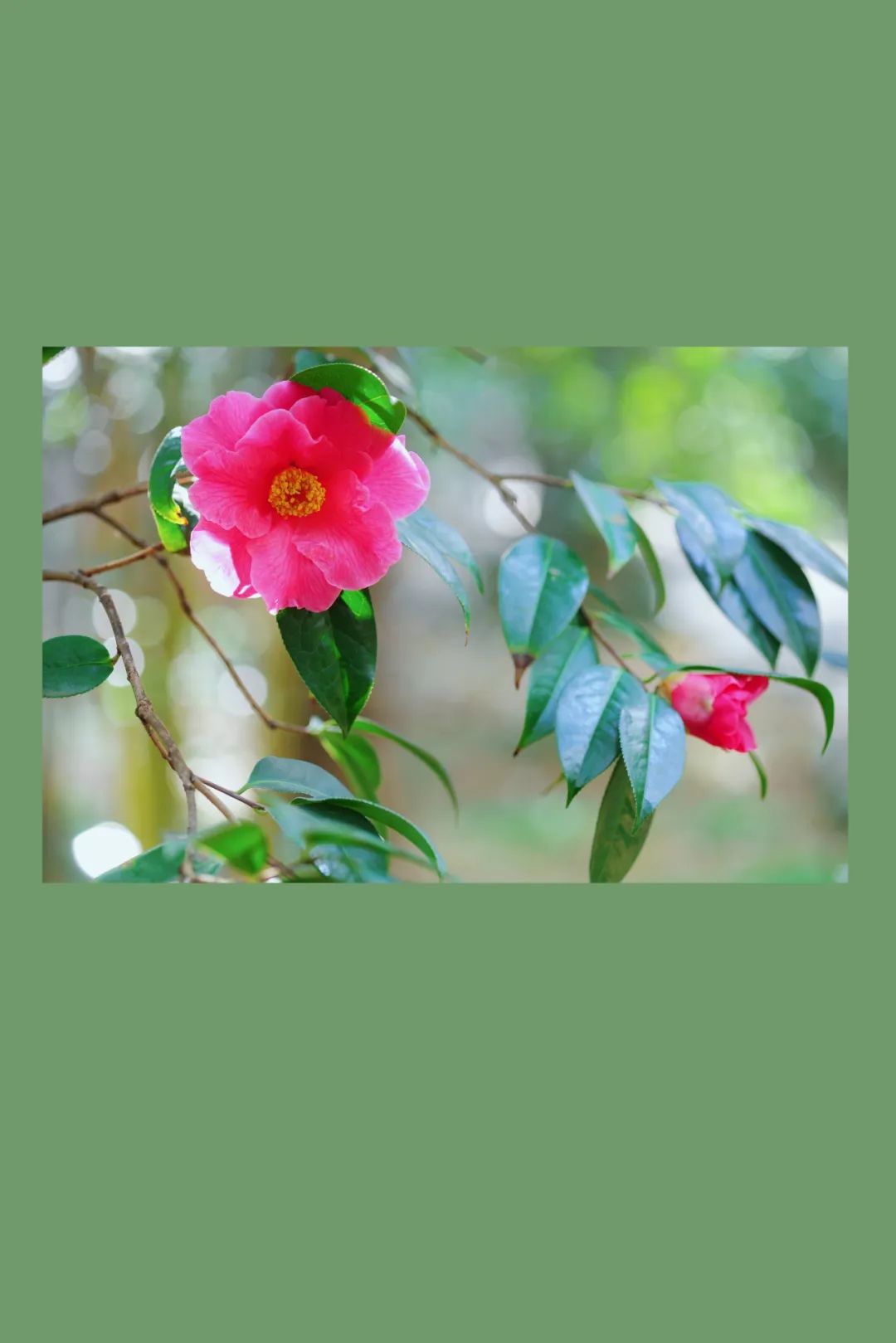 昆明市金殿名胜区