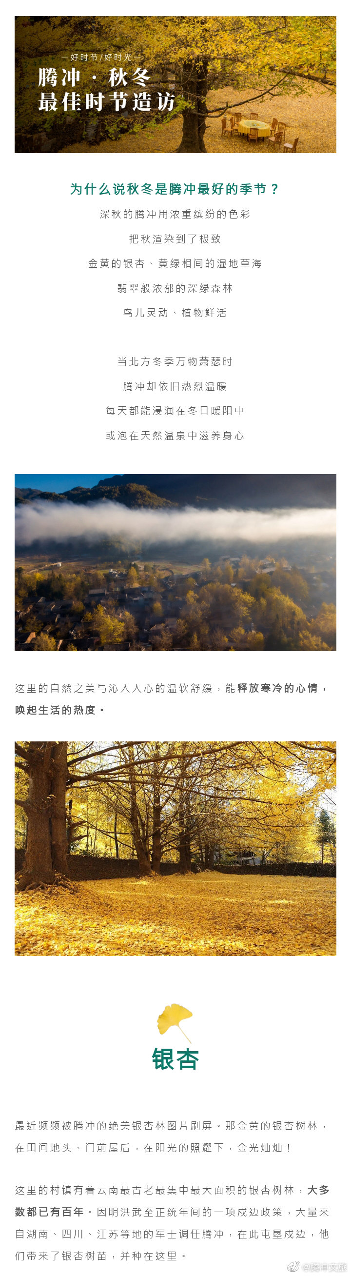 腾冲文旅微博