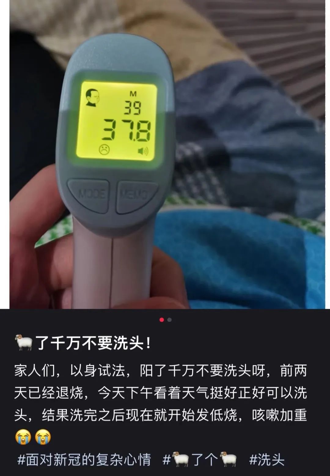 春城晚报
