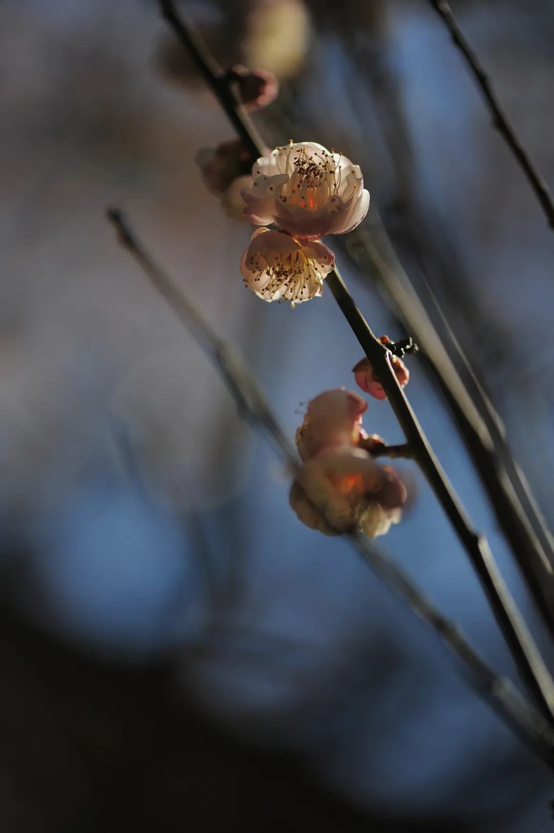 昆明市金殿名胜区