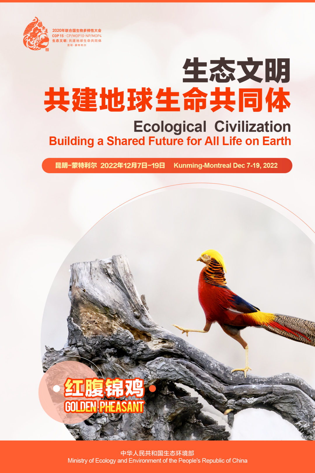 玉溪发布