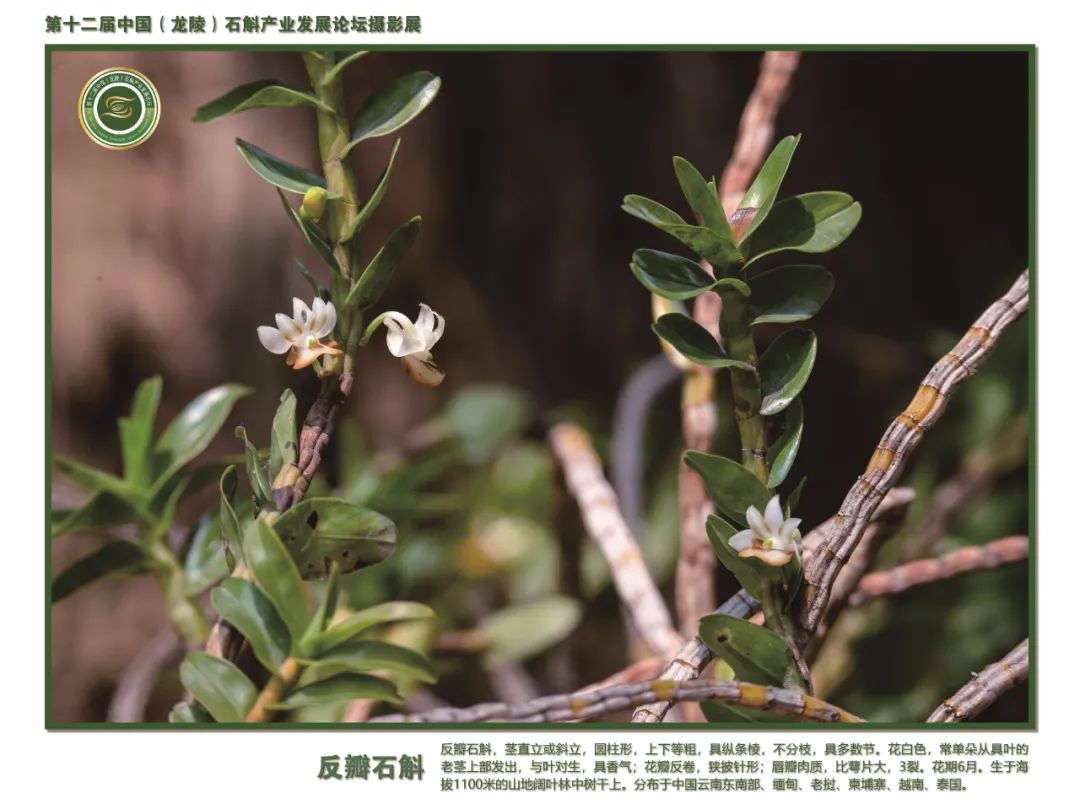 保山广播电视台
