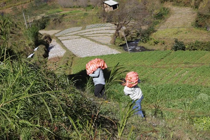 保山新闻网
