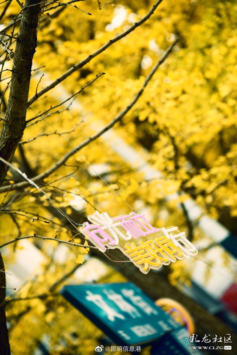 昆明信息港（微博）