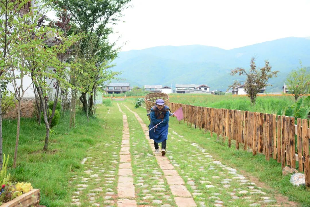 丽江日报