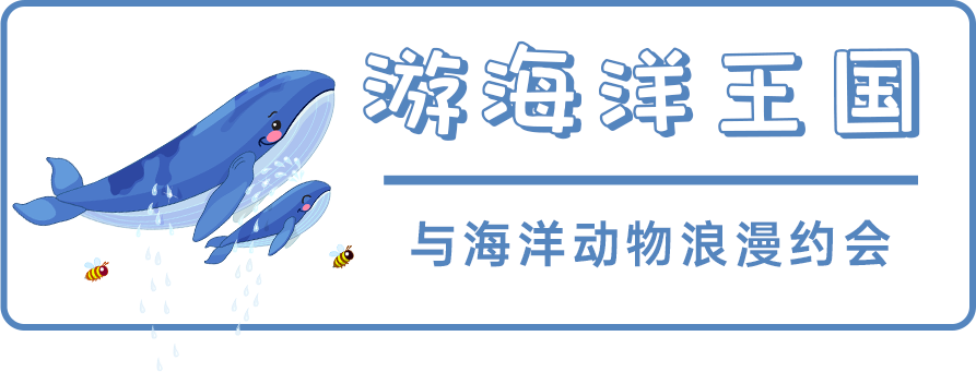 石林融媒