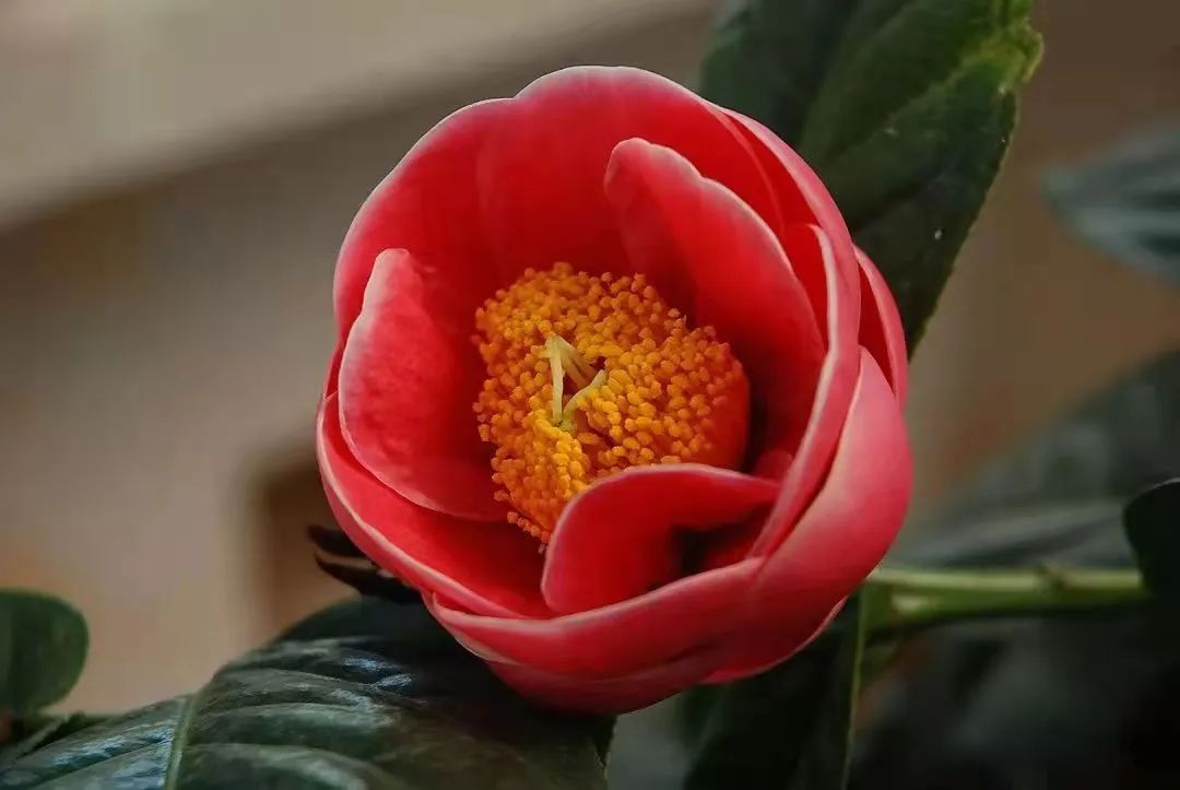 昆明市金殿名胜区