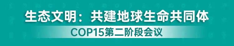 云南政协报