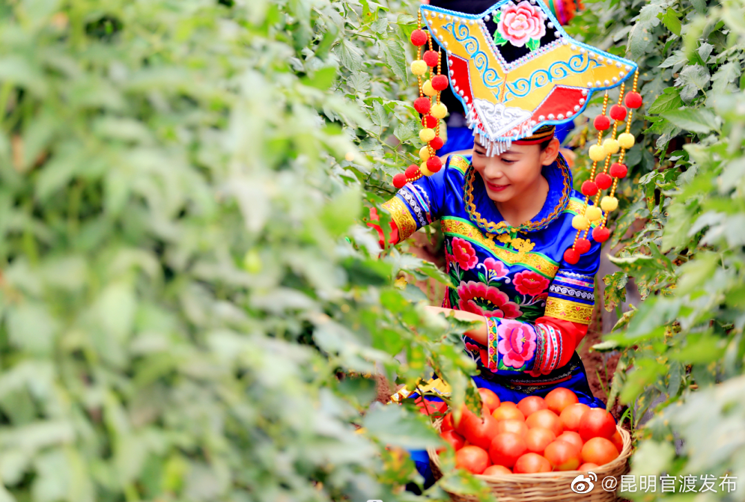 “昆明官渡发布”微博