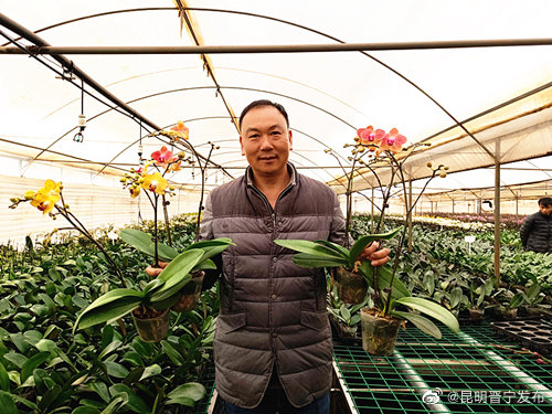 昆明晋宁发布