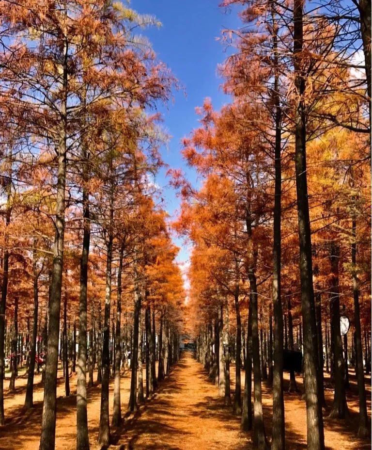 昆明文旅