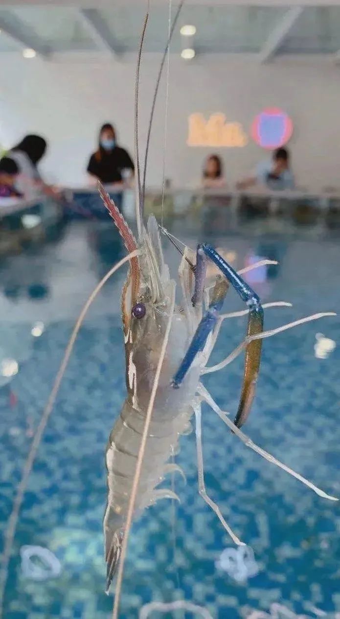 昆明阳宗海风景名胜区