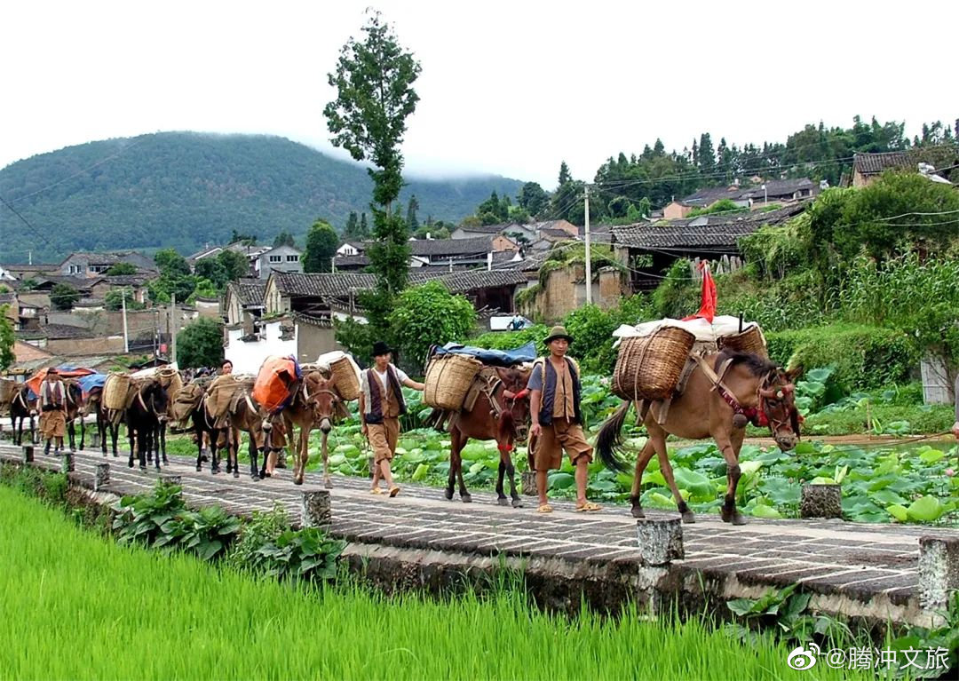 腾冲文旅微博