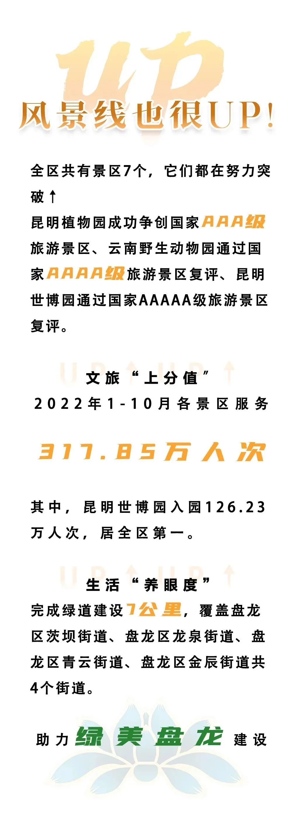 微观盘龙