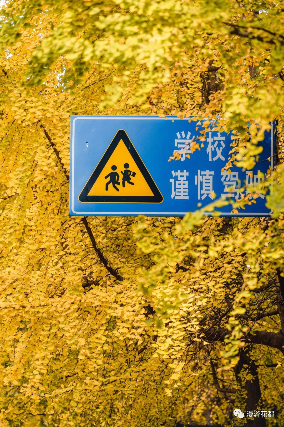 昆明五华发布