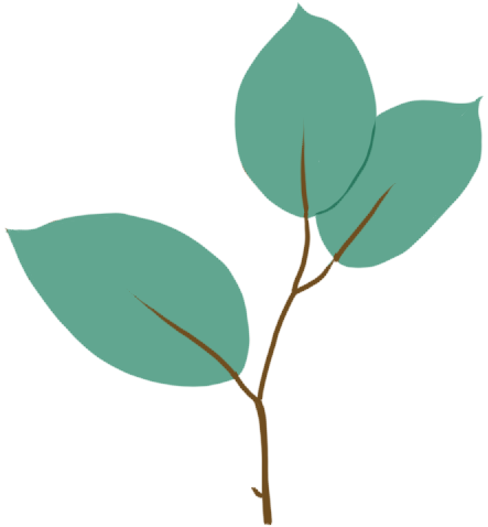 悦读嵩明