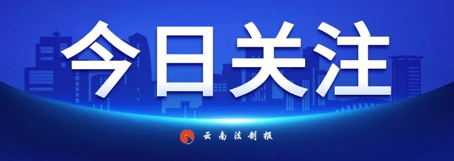 云南法制报
