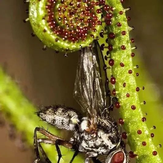 昆明阳宗海风景名胜区