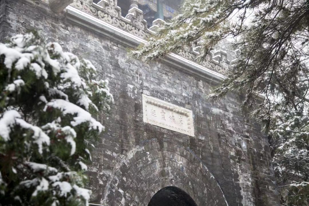 美丽云南微科普