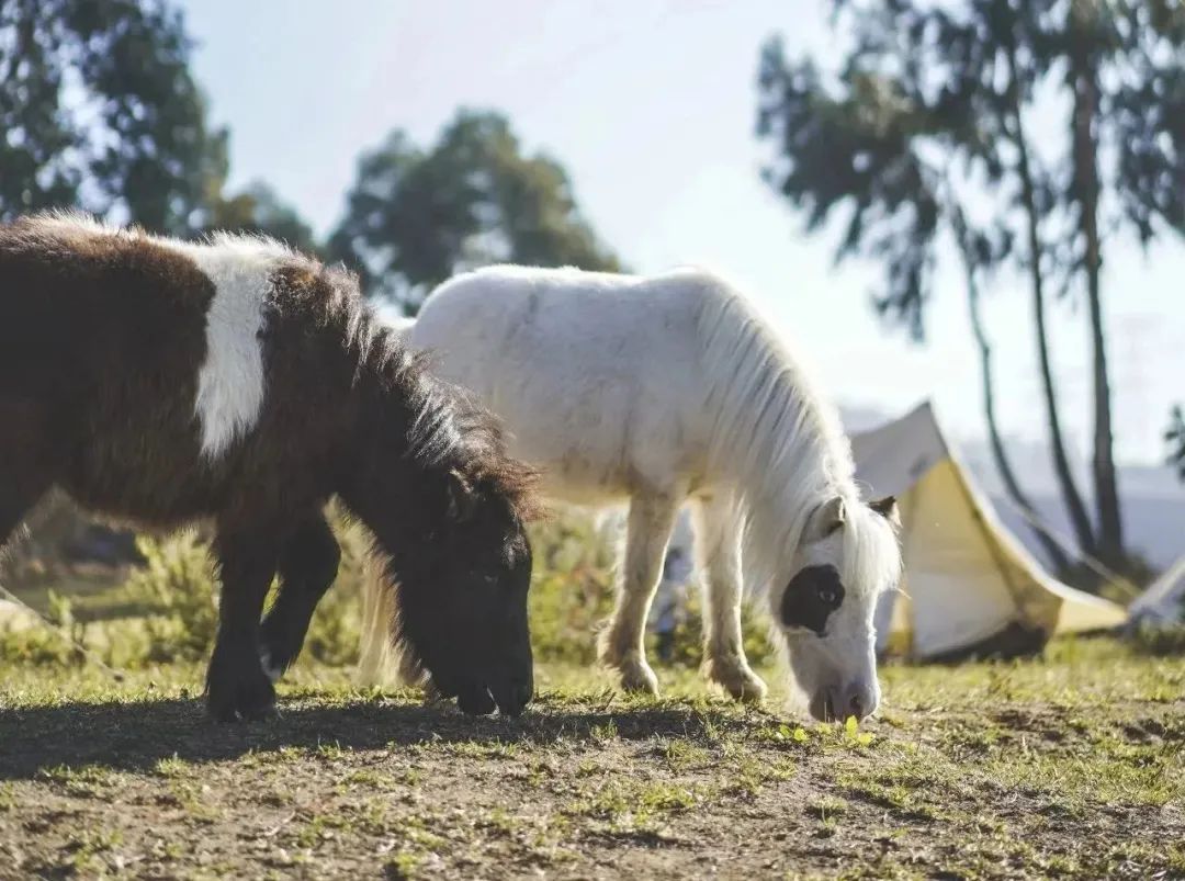昆明阳宗海风景名胜区