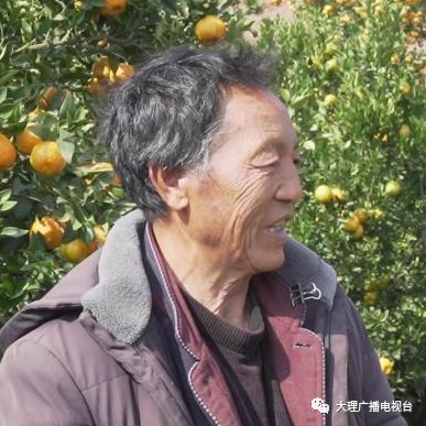 大理电视台
