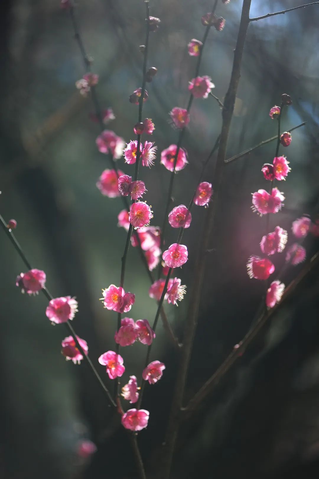 昆明市金殿名胜区