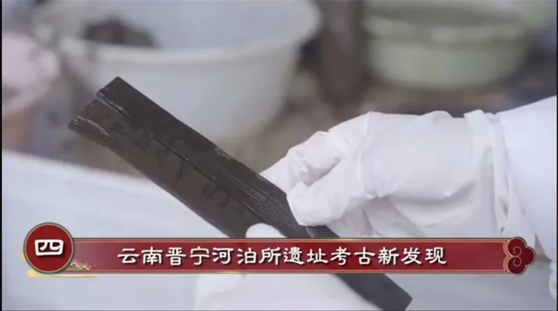 美丽云南微科普