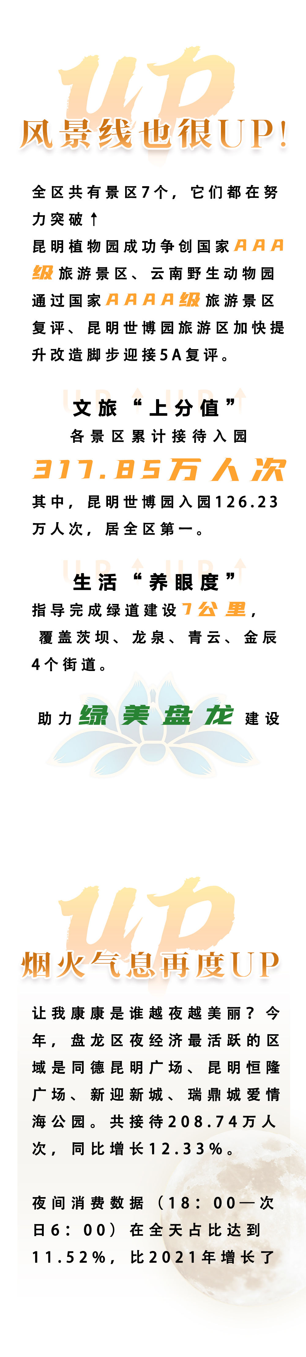 微观盘龙