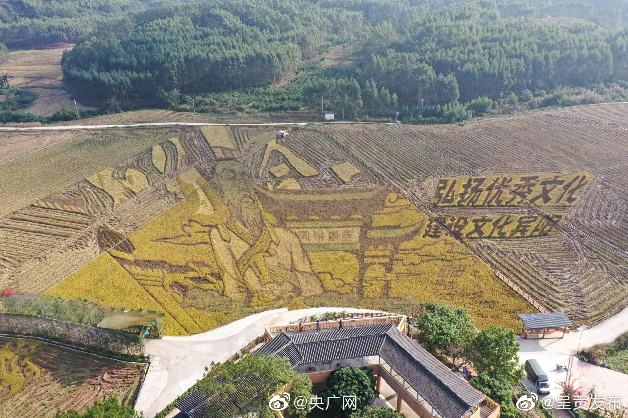 呈贡发布