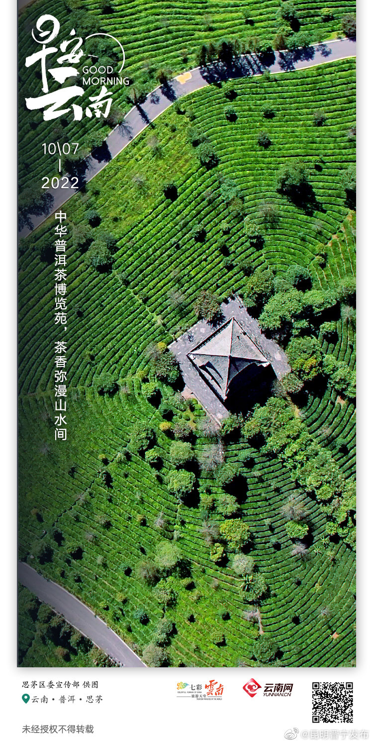 中华普洱茶博览苑：琼岭锁流霞，天光沐嫩茶