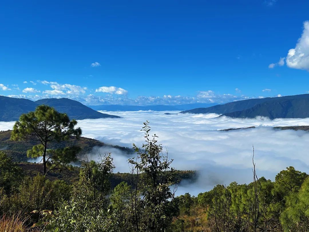 云南省文化和旅游厅