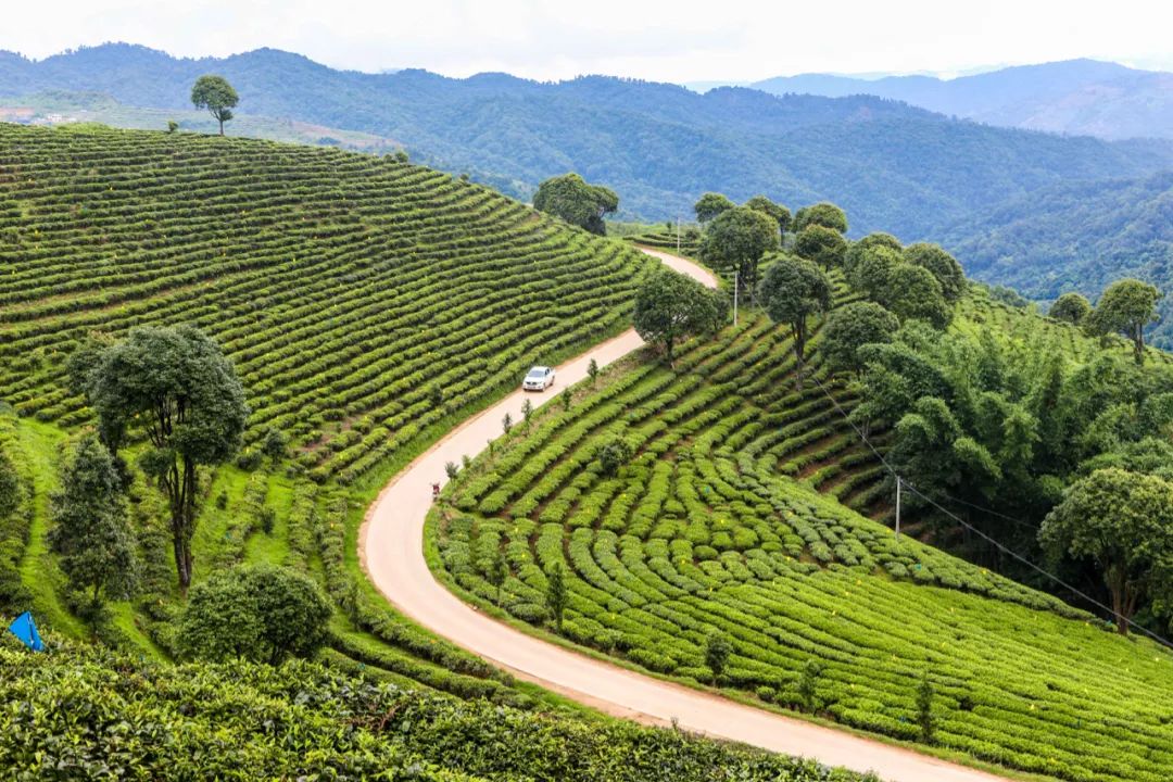 文旅云南